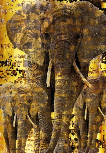 mondilab Elephants  (103092)